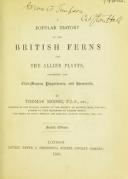 Cover of: A popular history of the British ferns and the allied plants: comprising the club-mosses, pepperworts, and horsetails