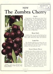 Cover of: The Zumbra cherry [catalog]