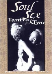 Cover of: Soul Sex: Tantra for Two