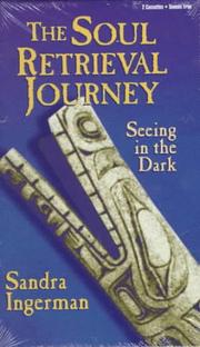 Cover of: The Soul Retrieval Journey: Seeing in the Dark