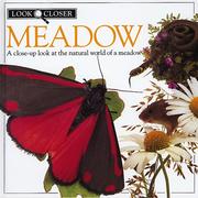 Cover of: Meadow (Look Closer) by Barbara Taylor, Kim Taylor