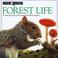 Cover of: Forest life