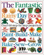 Cover of: The fantastic rainy day book