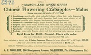 Cover of: Chinese flowering trees crabapples-Malus: March and April offer