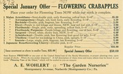 Cover of: Special January offer, flowering crabapples