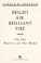 Cover of: Bright air, brilliant fire : on the matter of the mind
