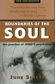 Boundaries of the soul by June Singer