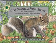 Gray Squirrel at Pacific Avenue by Geri Harrington