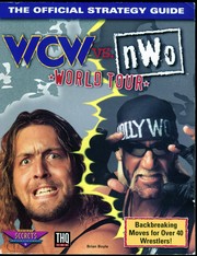WCW vs. nWo World Tour by Brian Boyle