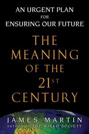 Cover of: The meaning of the 21st century: an urgent plan for ensuring our future