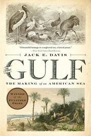 Cover of: The Gulf: The Making of an American Sea
