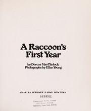 Cover of: A raccoon's first year