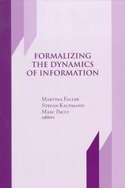 Formalizing the dynamics of information