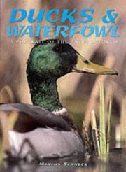 Ducks & waterfowl : a portrait of the animal world