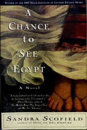 Cover of: A chance to see Egypt
