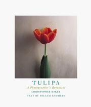 Tulipa by Christopher Baker