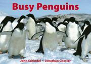 Cover of: Busy penguins