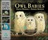 Cover of: Owl Babies With Dvd - Walker