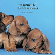 Cover of: Dachshunds: lightweights-littermates