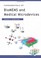 Cover of: Fundamentals of bioMEMS and medical microdevices