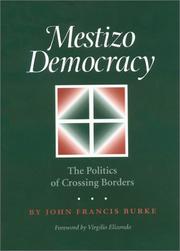 Cover of: Mestizo Democracy: The Politics of Crossing Borders (Rio Grande/Rio Bravo: Borderlands Culture and Traditions, 8)