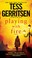 Cover of: Playing with Fire: A Novel