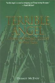 Cover of: Terrible angel: a novel of Michael Collins in New York