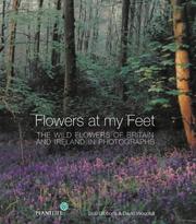 Cover of: Flowers at My Feet: The Wild Flowers of Britain and Ireland in Photographs