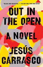 Cover of: Out in the Open: A Novel