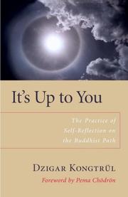 Cover of: It's Up to You: The Practice of Self-Reflection on the Buddhist Path
