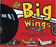Cover of: Rough 'n' Tough Big Wings (Rough and Tough)