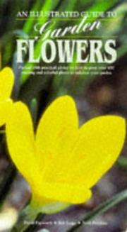 Cover of: An Illustrated Guide to Garden Flowers