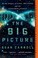 Cover of: The Big Picture