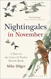 Nightingales in November by Mike Dilger
