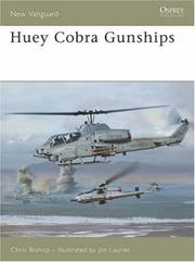 Huey Cobra gunships