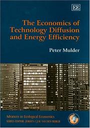 The economics of technology diffusion and energy efficiency