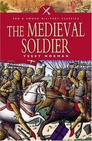 The medieval soldier