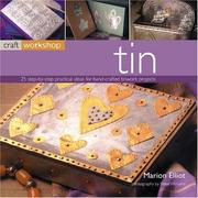 Cover of: Craft Workshop: Tin (Craft Workshop...)