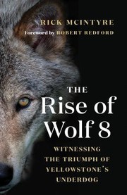 The Rise of Wolf 8 by Rick McIntyre
