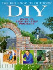 Cover of: The Big Book of Outdoor DIY