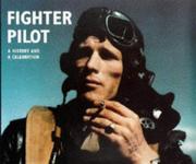 Fighter pilot : a history and a celebration