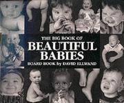 Cover of: Big Book of Beautiful Babies by David Ellwand