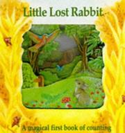Little Lost Rabbit-A Magic Window Book (A Magic Window Book) by Stewart Cowley