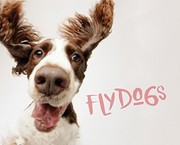 Cover of: Flydogs