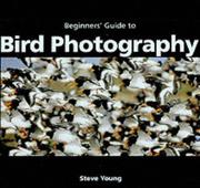 An essential guide to bird photography