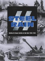 SS-Steel rain by Tim Ripley