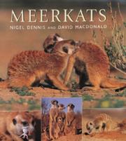 Meerkats