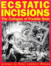 Cover of: Ecstatic incisions by Freddie Baer