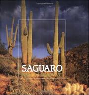 Saguaro National Monument by Doris Evans