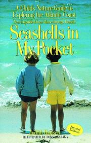 Seashells in my pocket by Judith Hansen